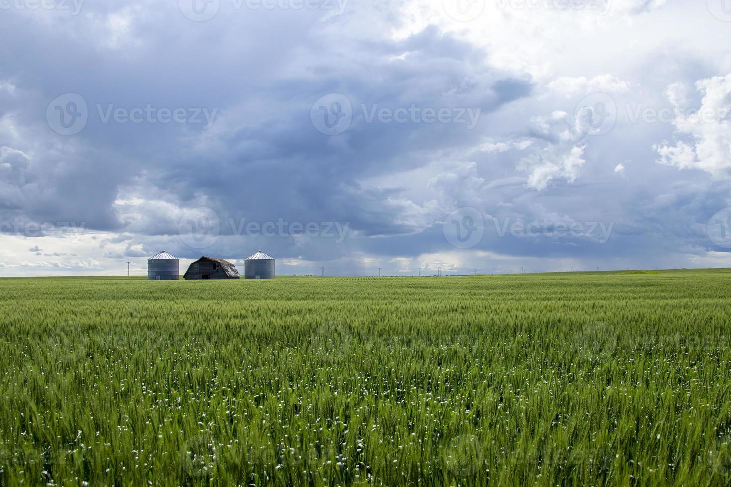 prairie onweerswolken canada foto