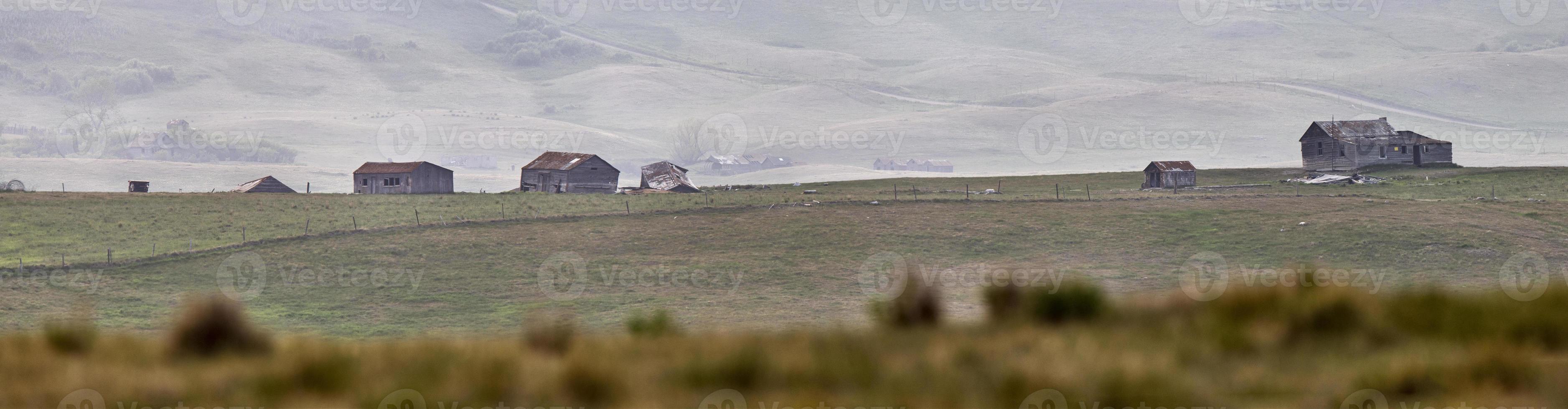 panoramisch uitzicht op de prairie foto