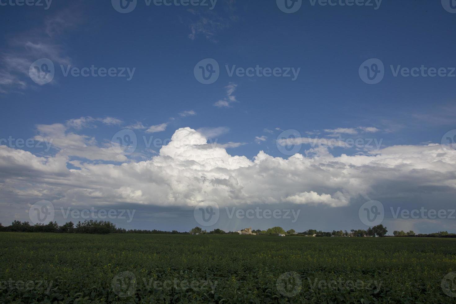 prairie onweerswolken canada foto