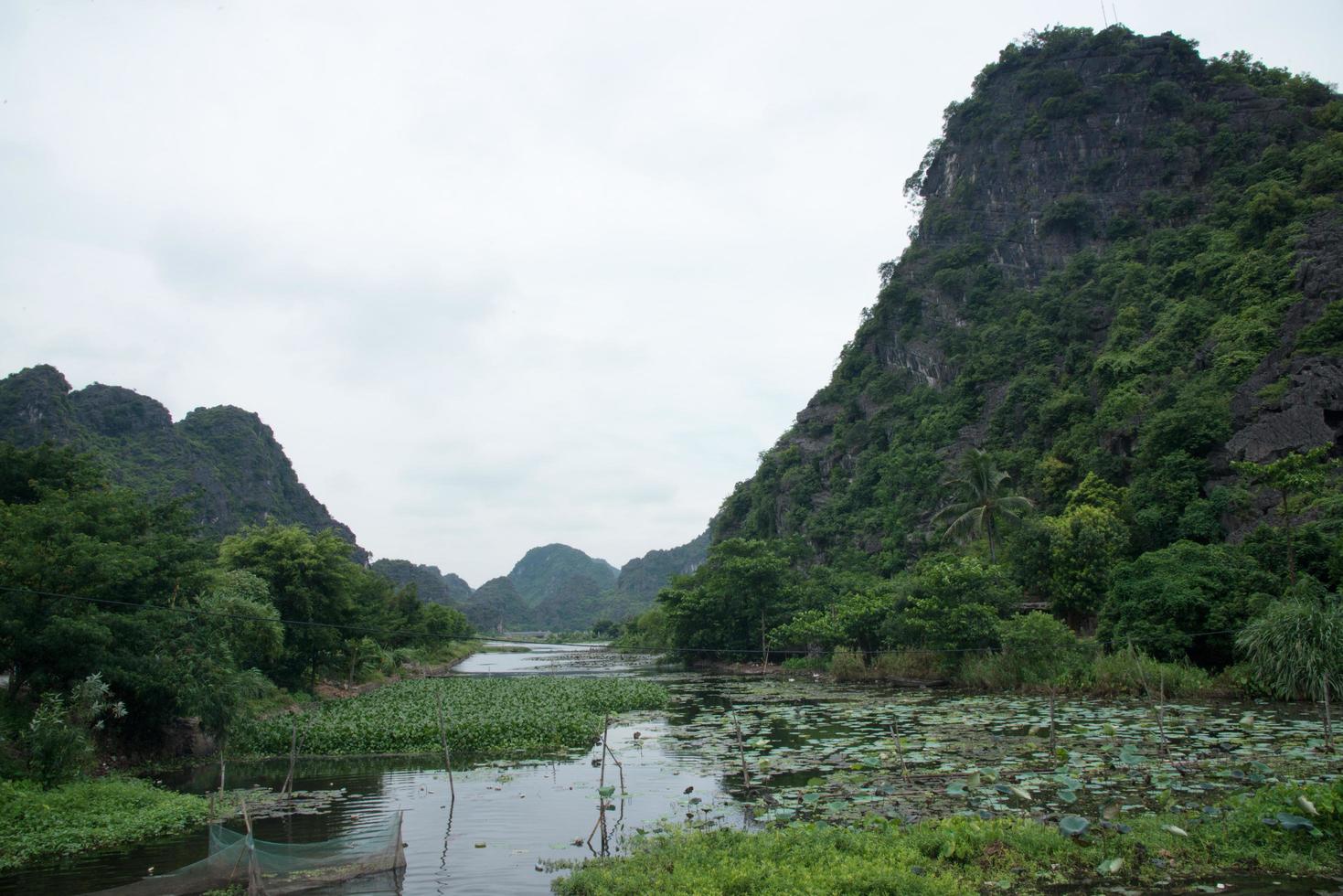 groen landschap in vietnam op een bewolkte dag. waterlelie en bergen langs de rivier. tam coc, vietnam foto