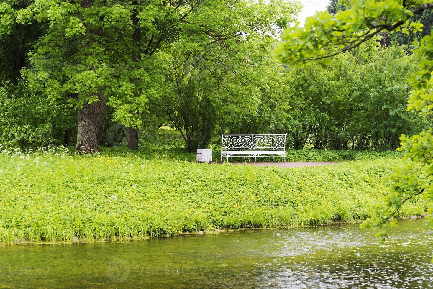 bankje in het zomerpark in de buurt van de rivier. foto