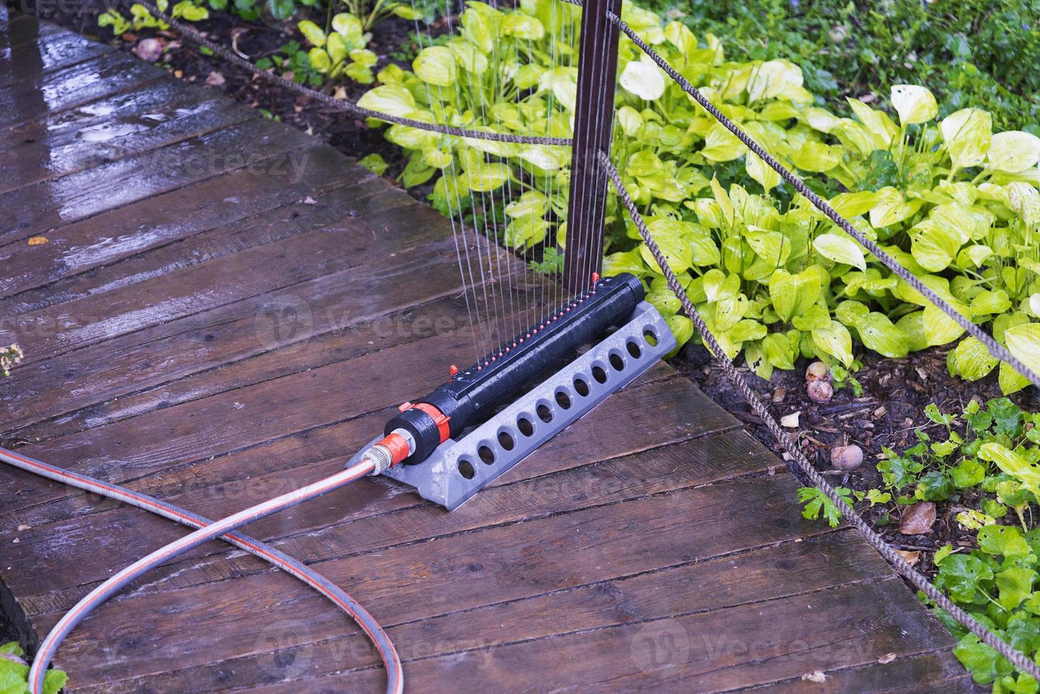 automatische tuinsproeier die gele planten in de tuin water geeft. foto