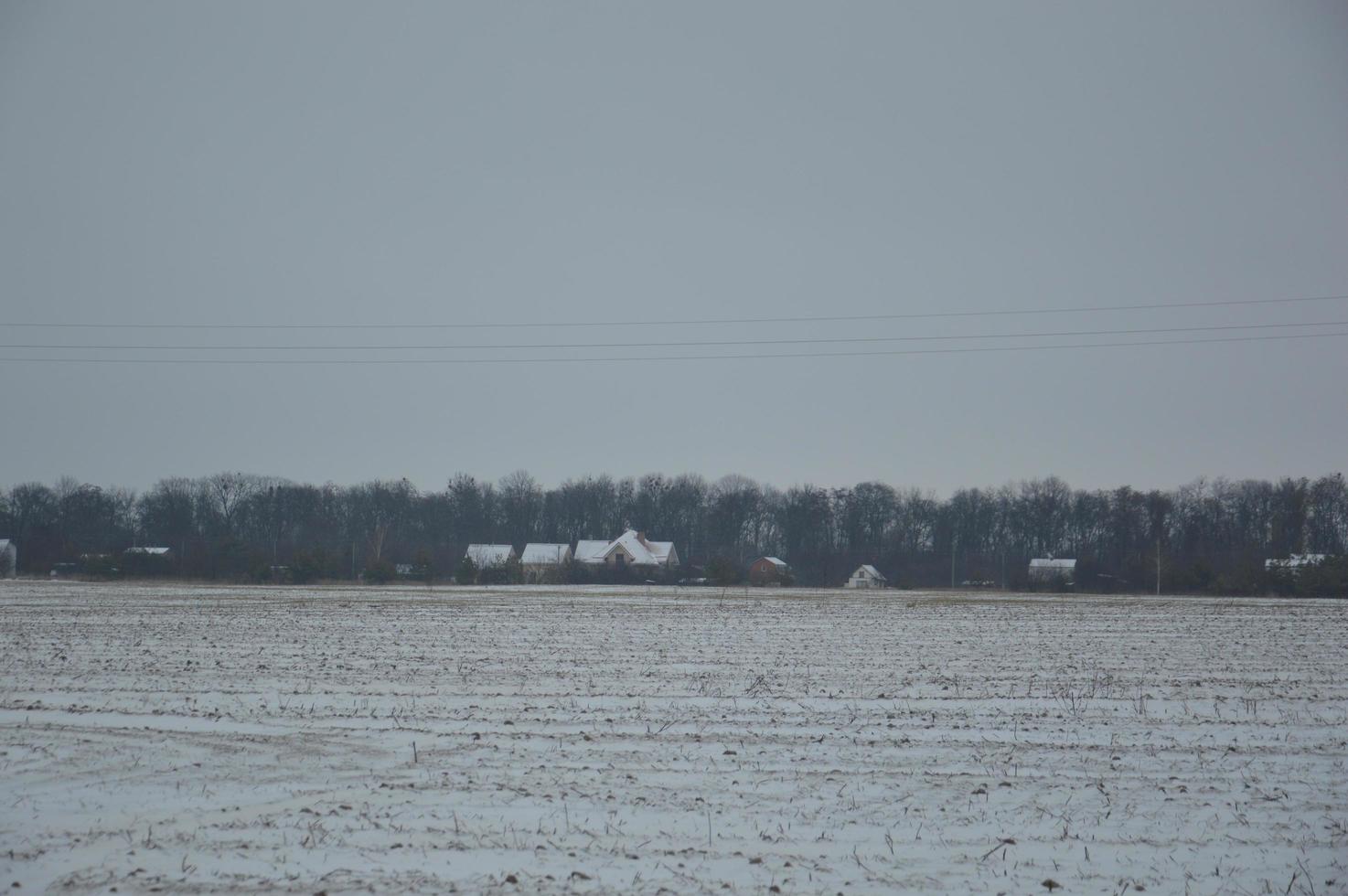 panorama van een landbouwgebied bedekt met sneeuw in de winter foto