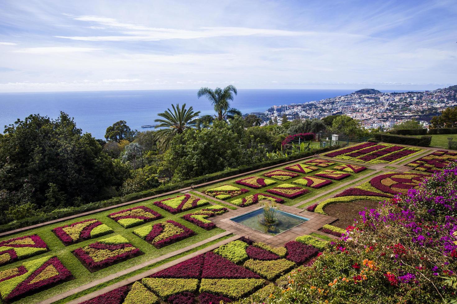 funchal, portugal, 13 februari 2020 - detail van de botanische tuin van madeira in fuchal, portugal. tuin voor het publiek geopend in 1960 en hebben meer dan 345.000 bezoekers per jaar. foto