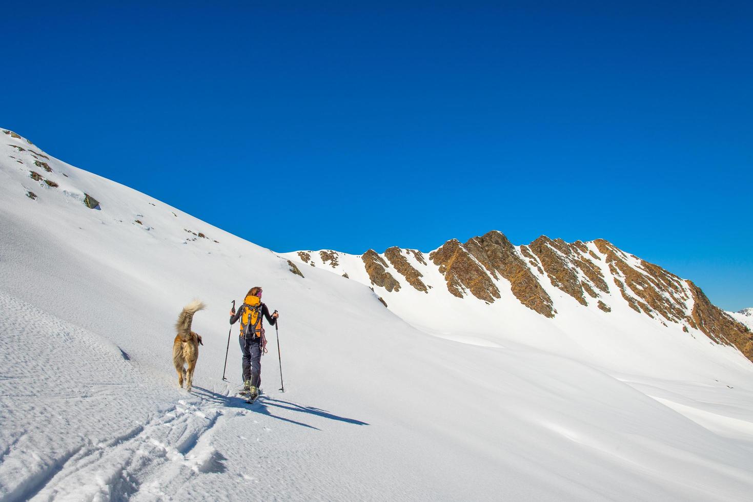 meisje maakt ski-alpinisme met hond foto