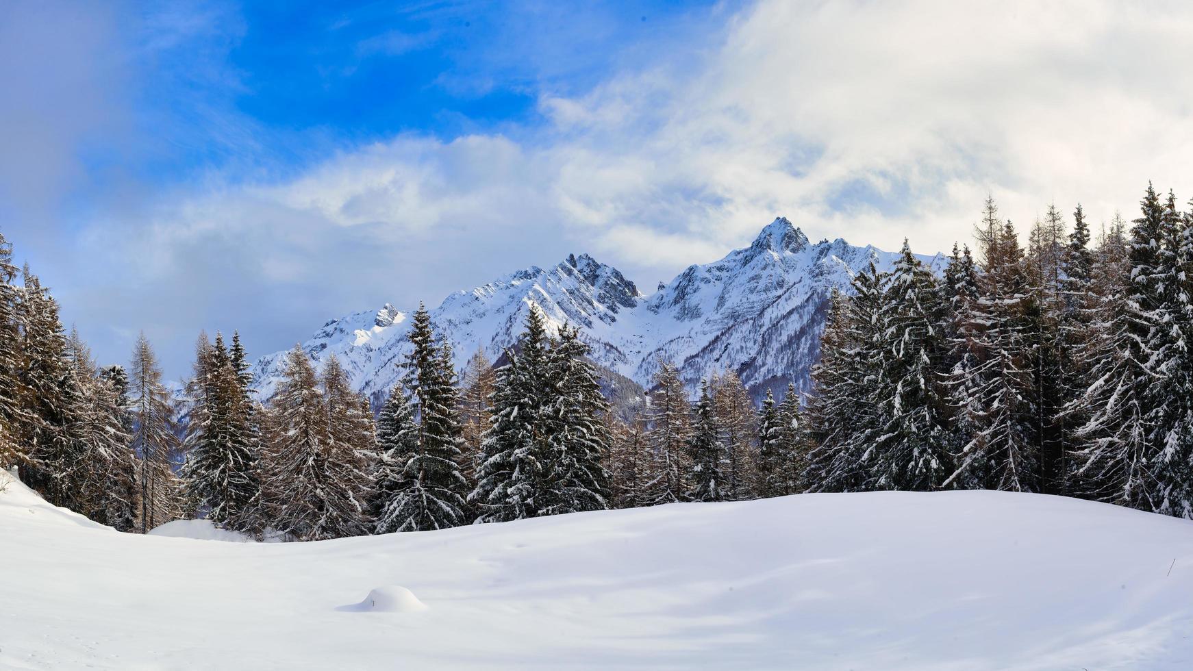 winterlandschap panorama tussen bossen en bergen foto