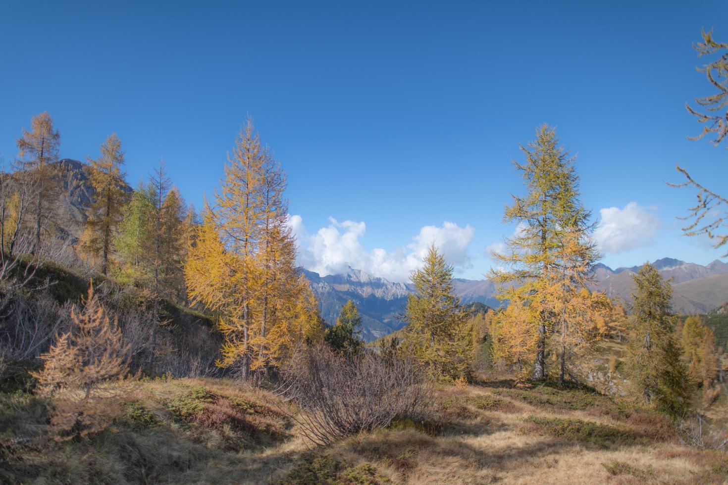 landschappen of bergen met herfst lerici foto