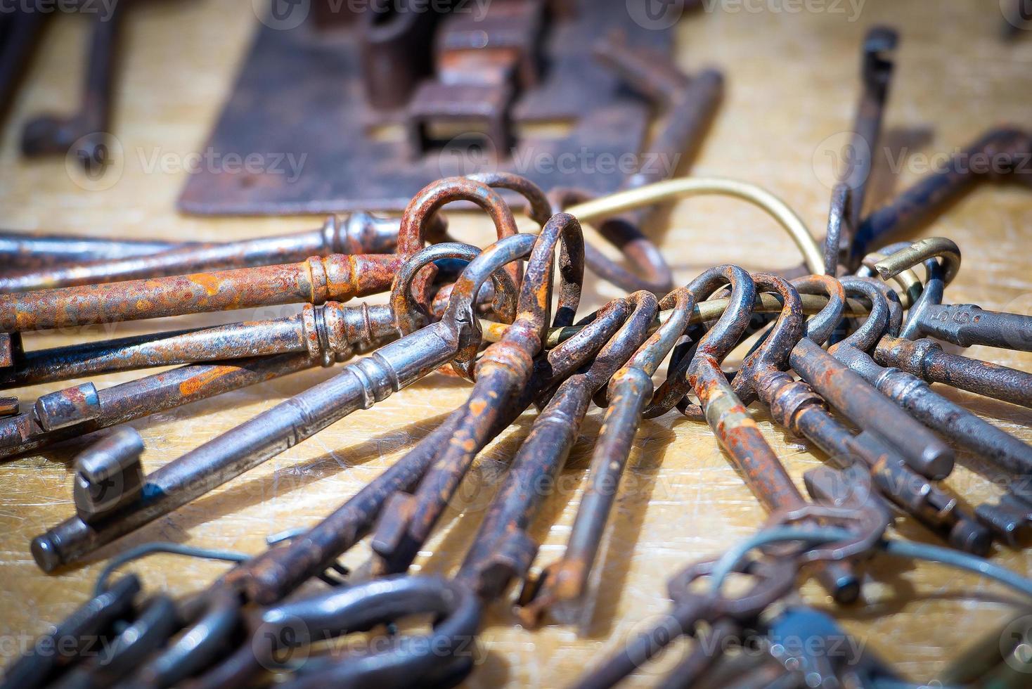 bos met oude ijzeren sleutels foto