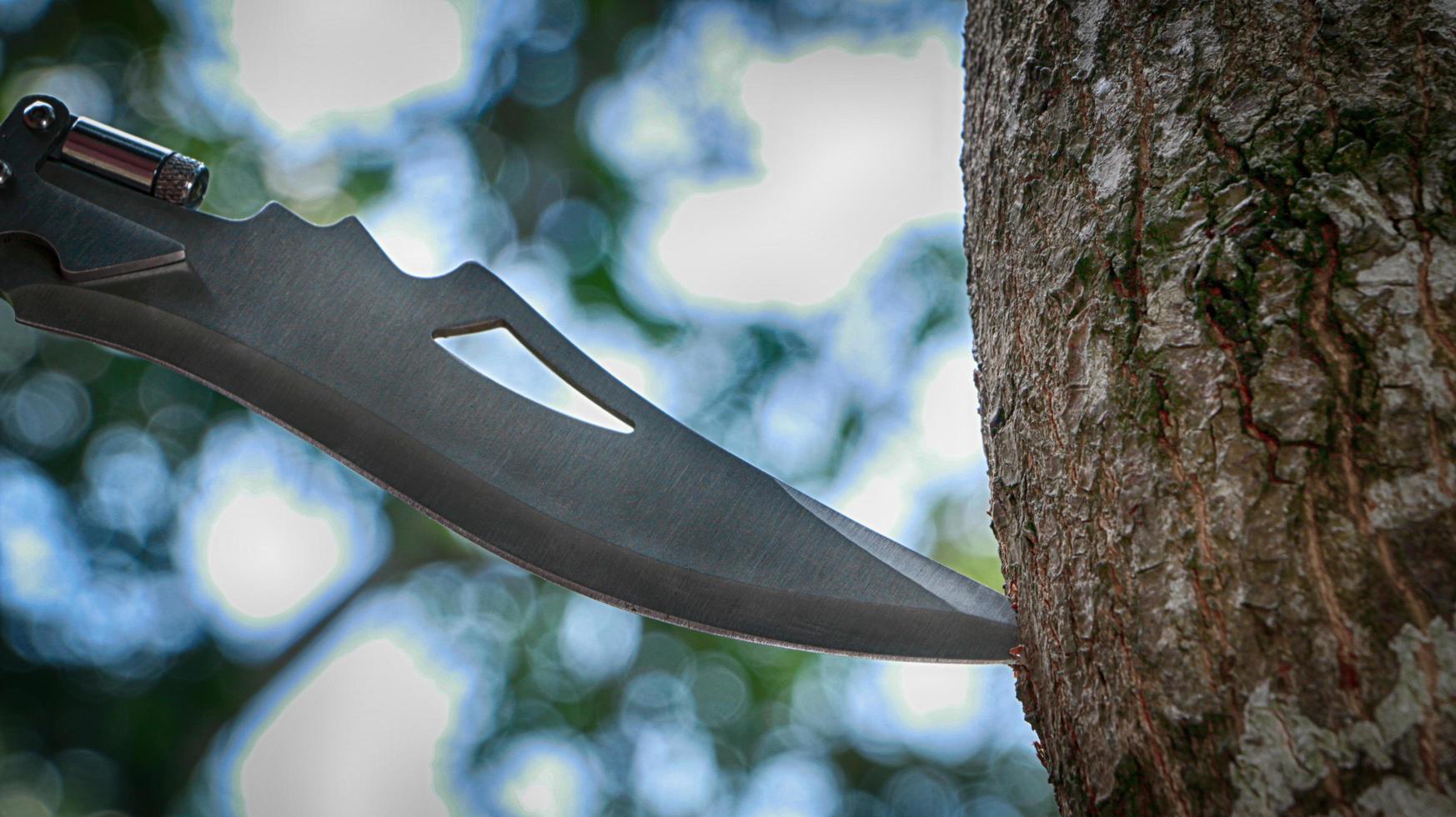 een mes aan een boom geplakt foto