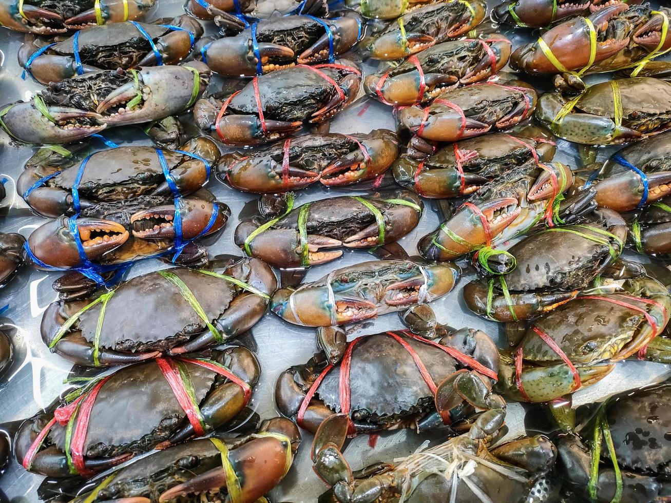 rauwe krab op ijs, verse zeevruchtenkrab voor gekookt voedsel in restaurant of vismarkt, modderkrab foto