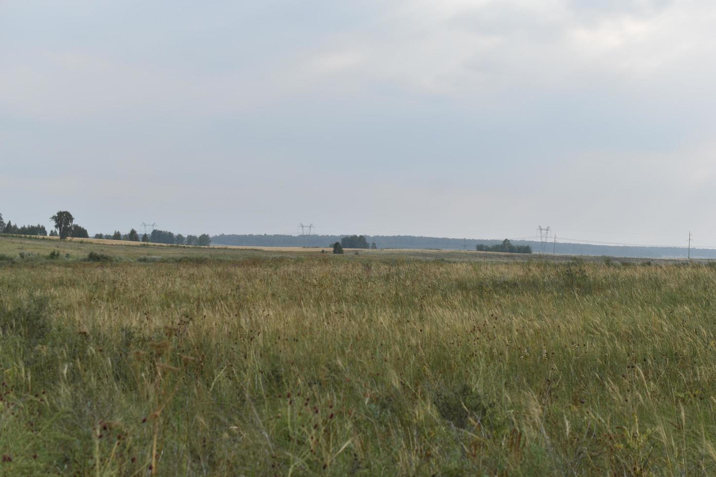 rivier en berg met bomen in het steppeveld foto