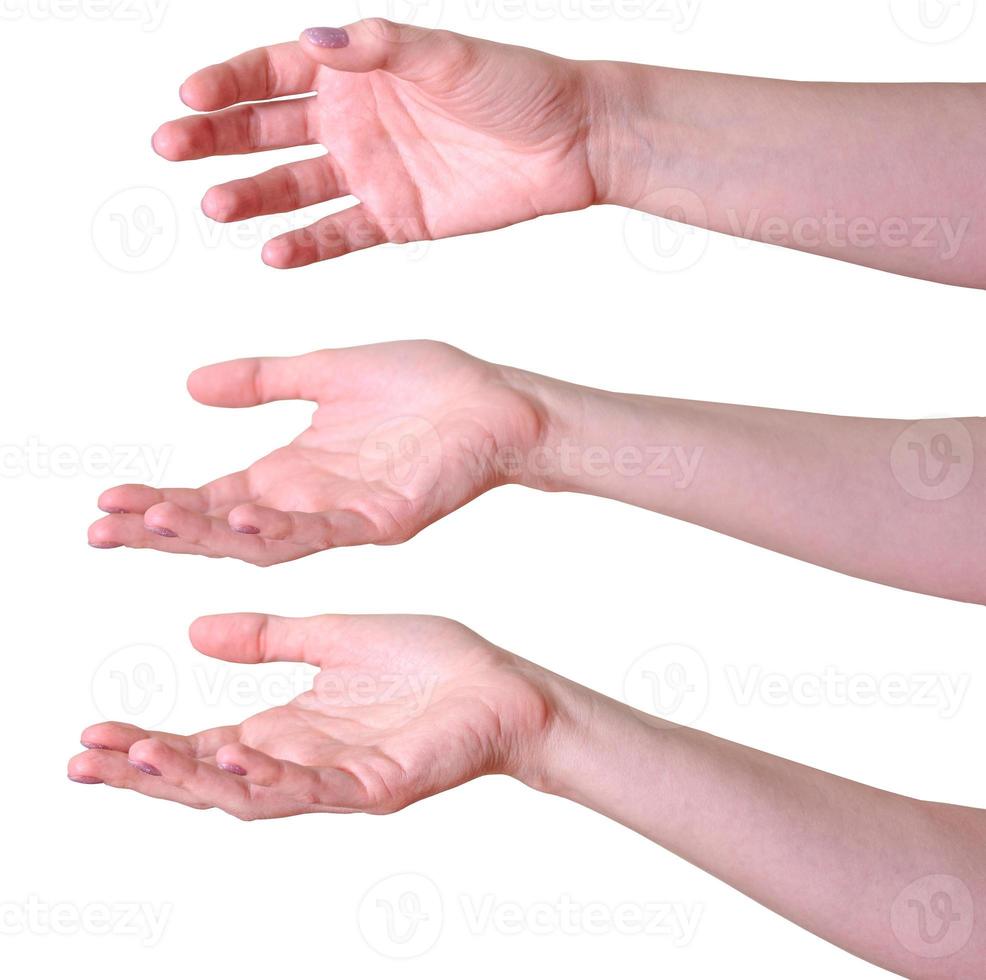 een verzameling vrouwenhanden op een witte achtergrond. foto