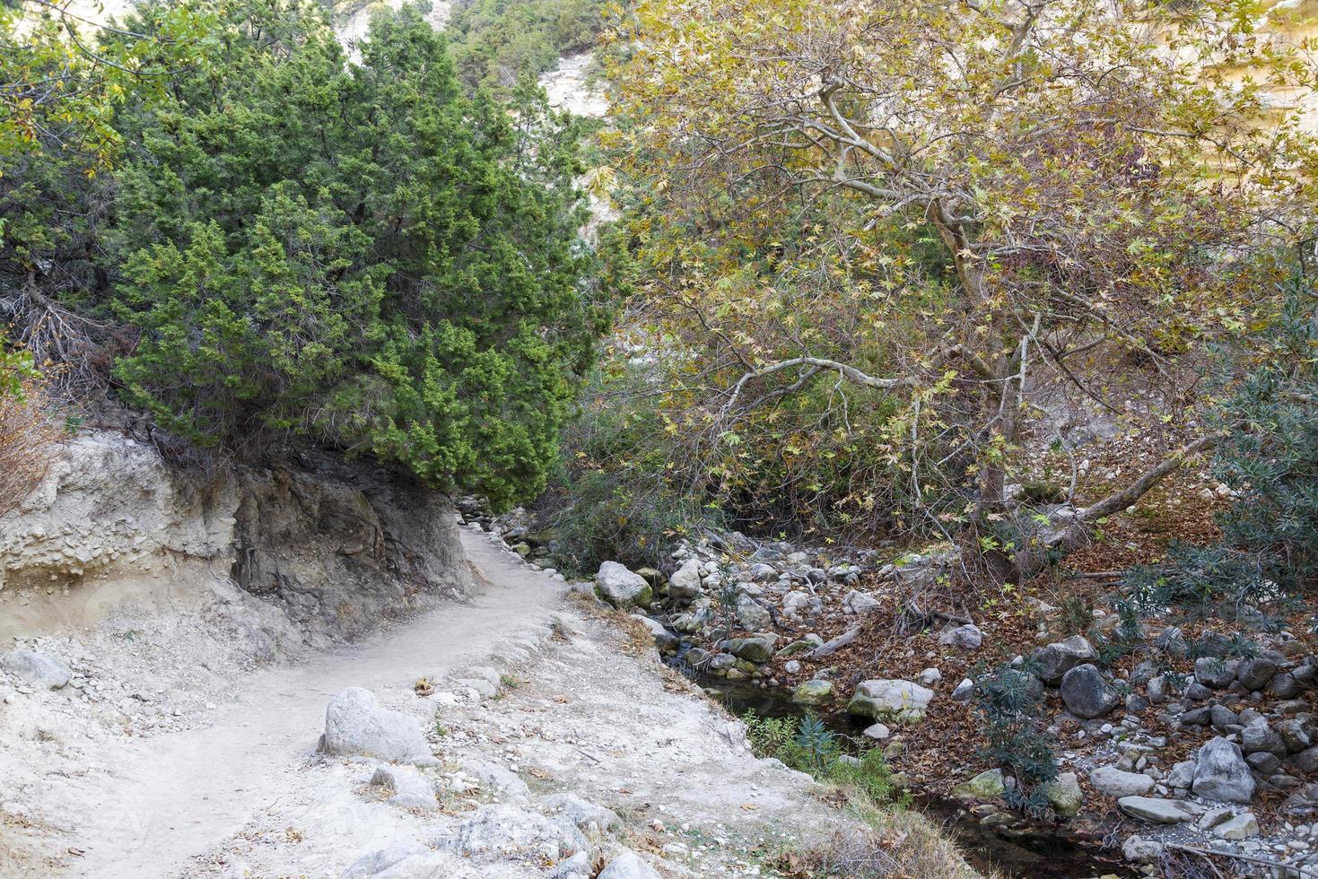 pad in avakas-kloof, wandelen in de kloof op een herfstdag. foto