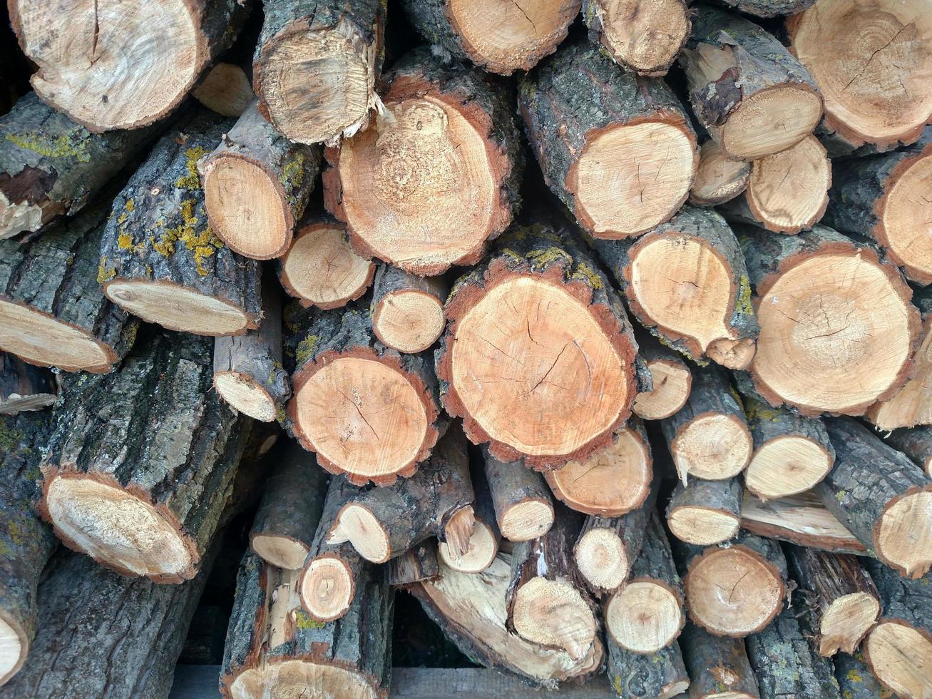 logt dwarsdoorsneden op het hout snijden stapels gezaagd hout boomstamstructuren foto