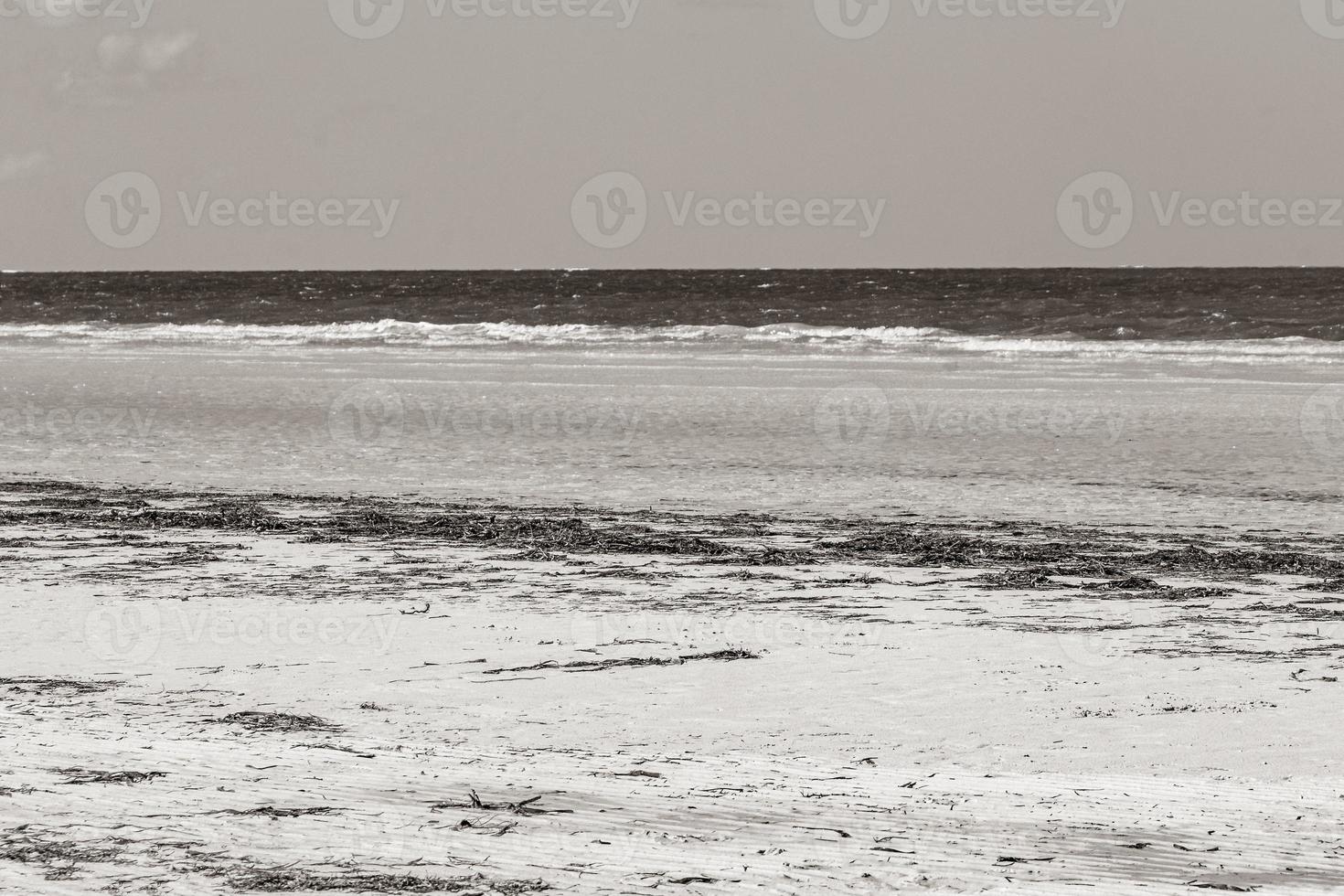 natuurlijke holbox eiland strand zandbank panorama turquoise water golven mexico. foto