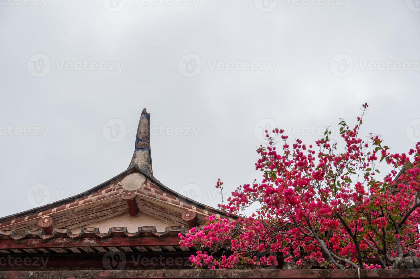 de daken en dakranden van traditionele Chinese tempels foto