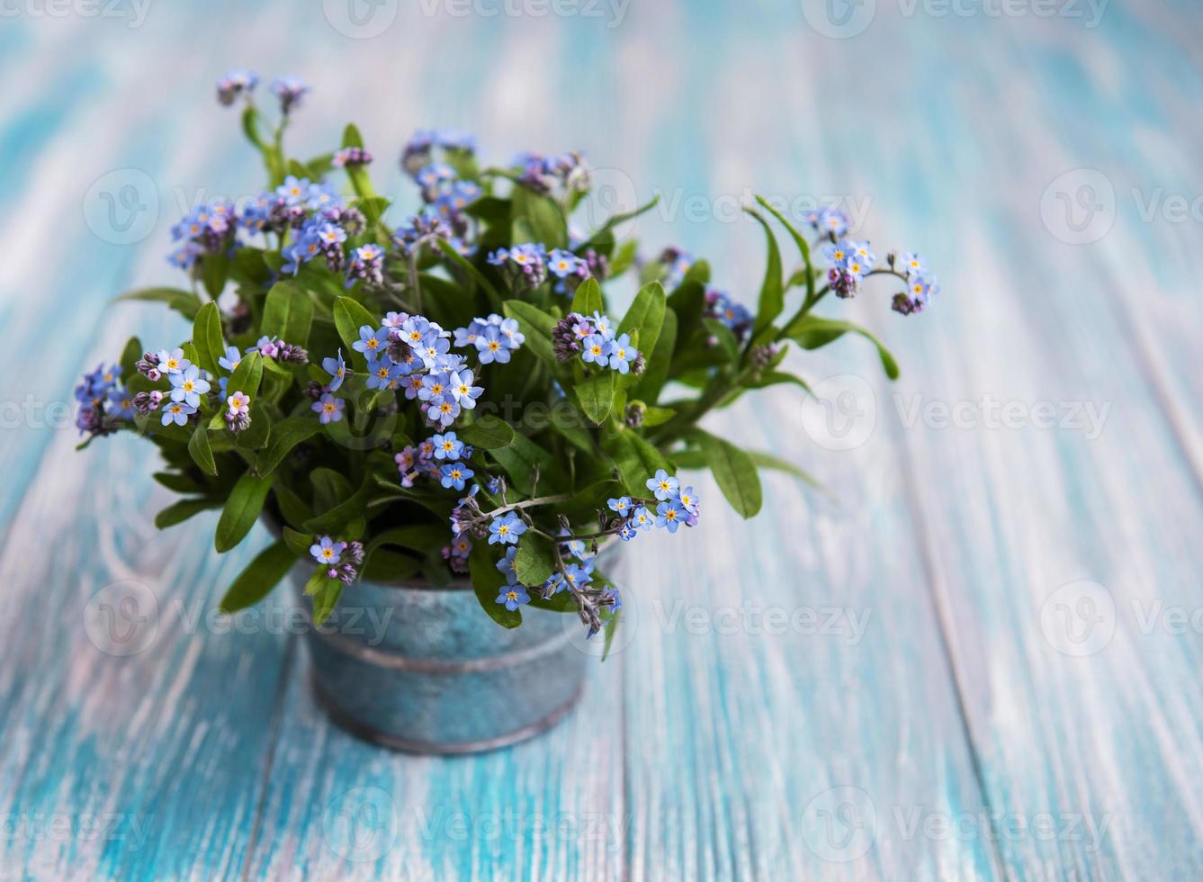 vergeet-mij-niet bloemen in kleine metalen emmer foto