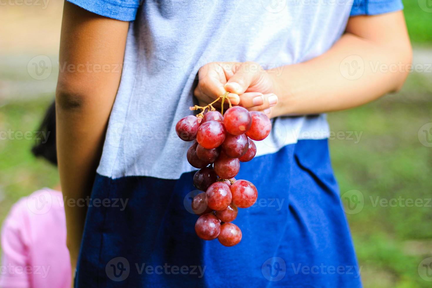 verse rode druiven foto