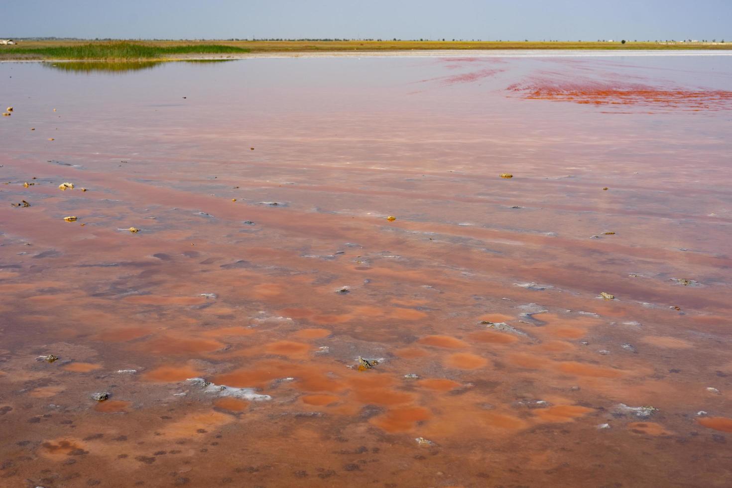 natuurlijk landschap met uitzicht op het roze zoutmeer. foto