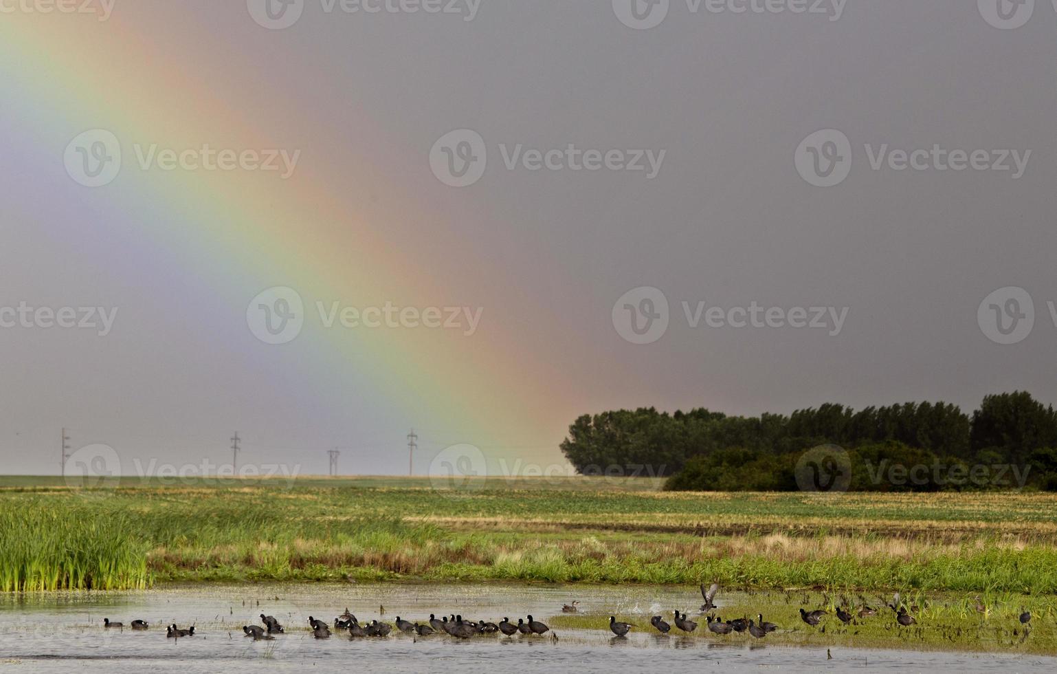 onweerswolken saskatchewan regenboog foto