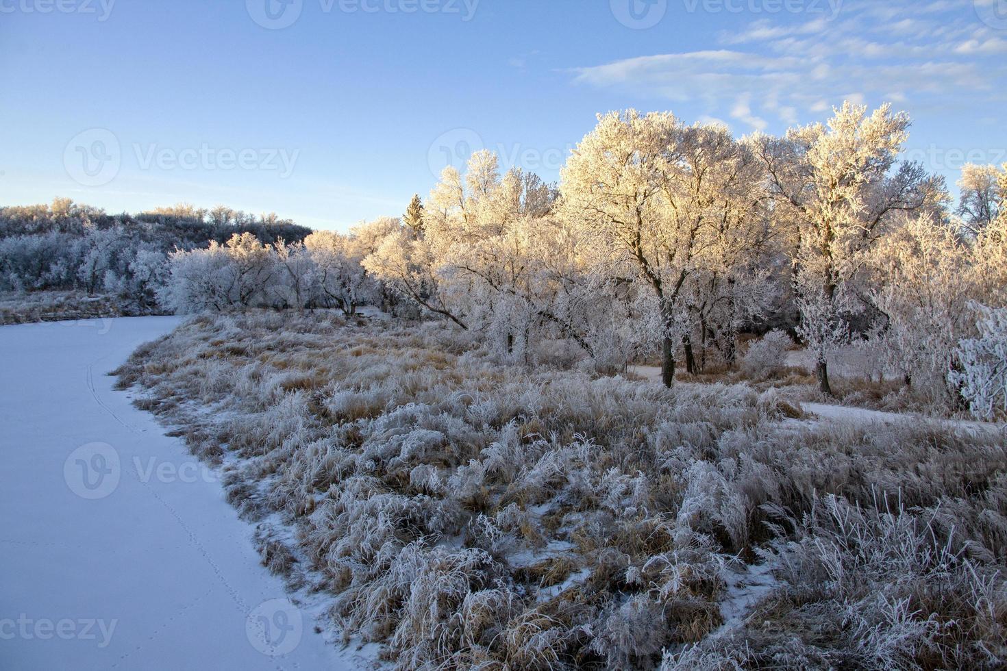 winter vorst saskatchewan foto