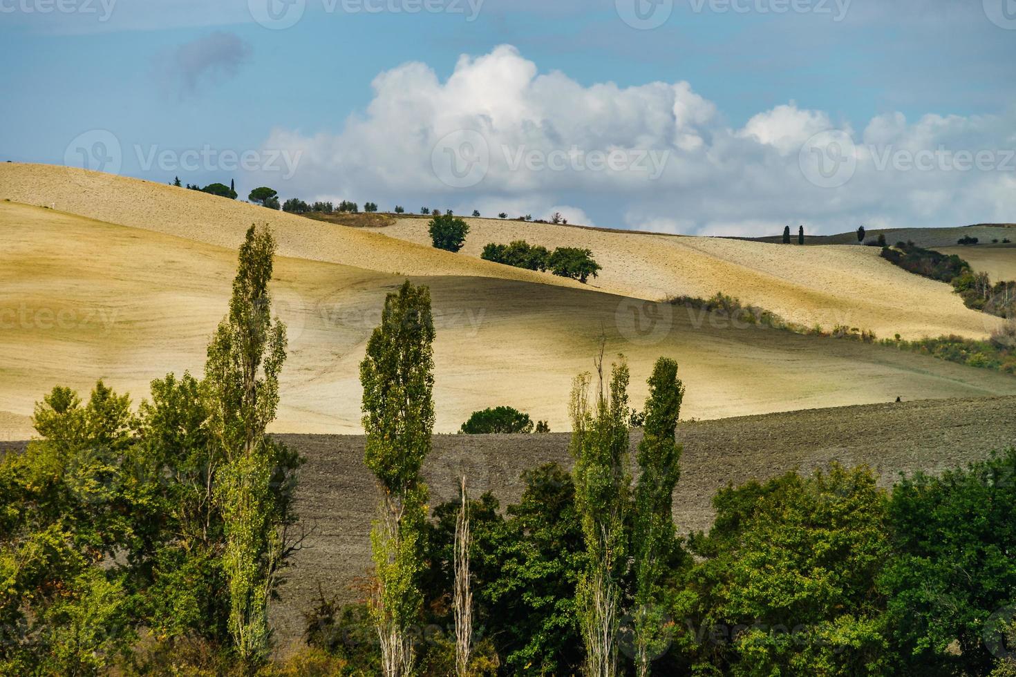 herfst in italië. gele geploegde heuvels van Toscane met interessante schaduwen en lijnen foto