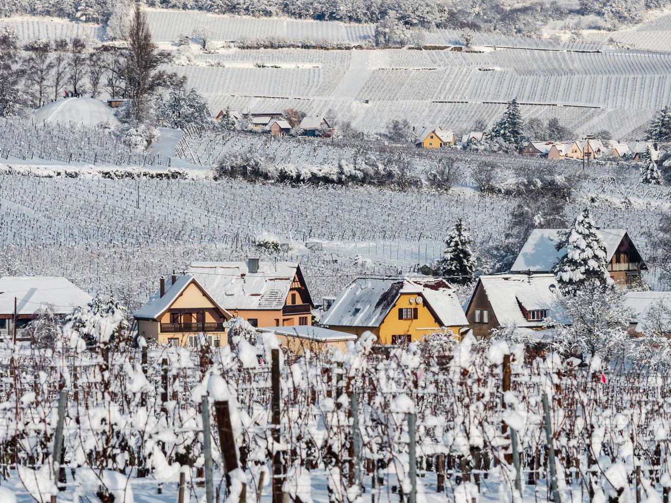 winters verhaal. besneeuwd schoon licht landschap van de Elzas. foto