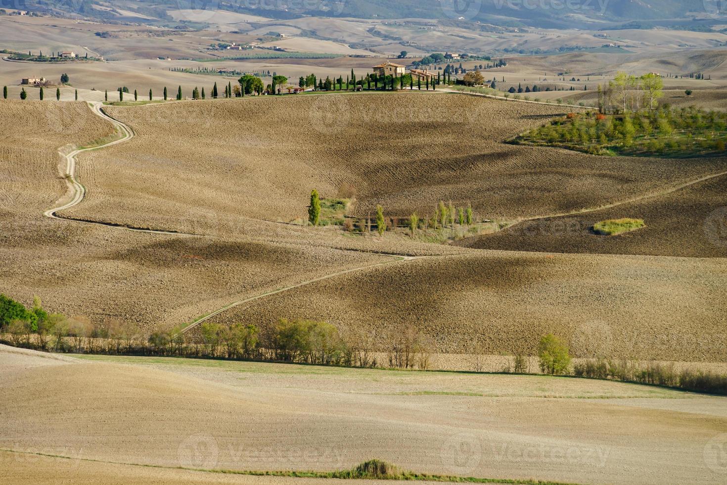 herfst in italië. gele geploegde heuvels van Toscane met interessante schaduwen en lijnen foto