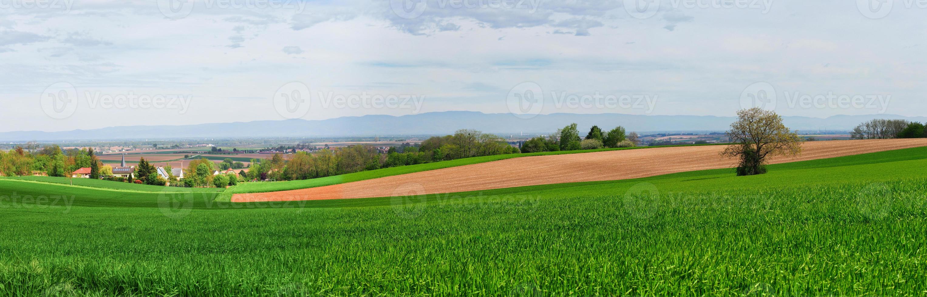 kruispunt van asfaltwegen in een schone vloer. groen gras en verkeersborden foto