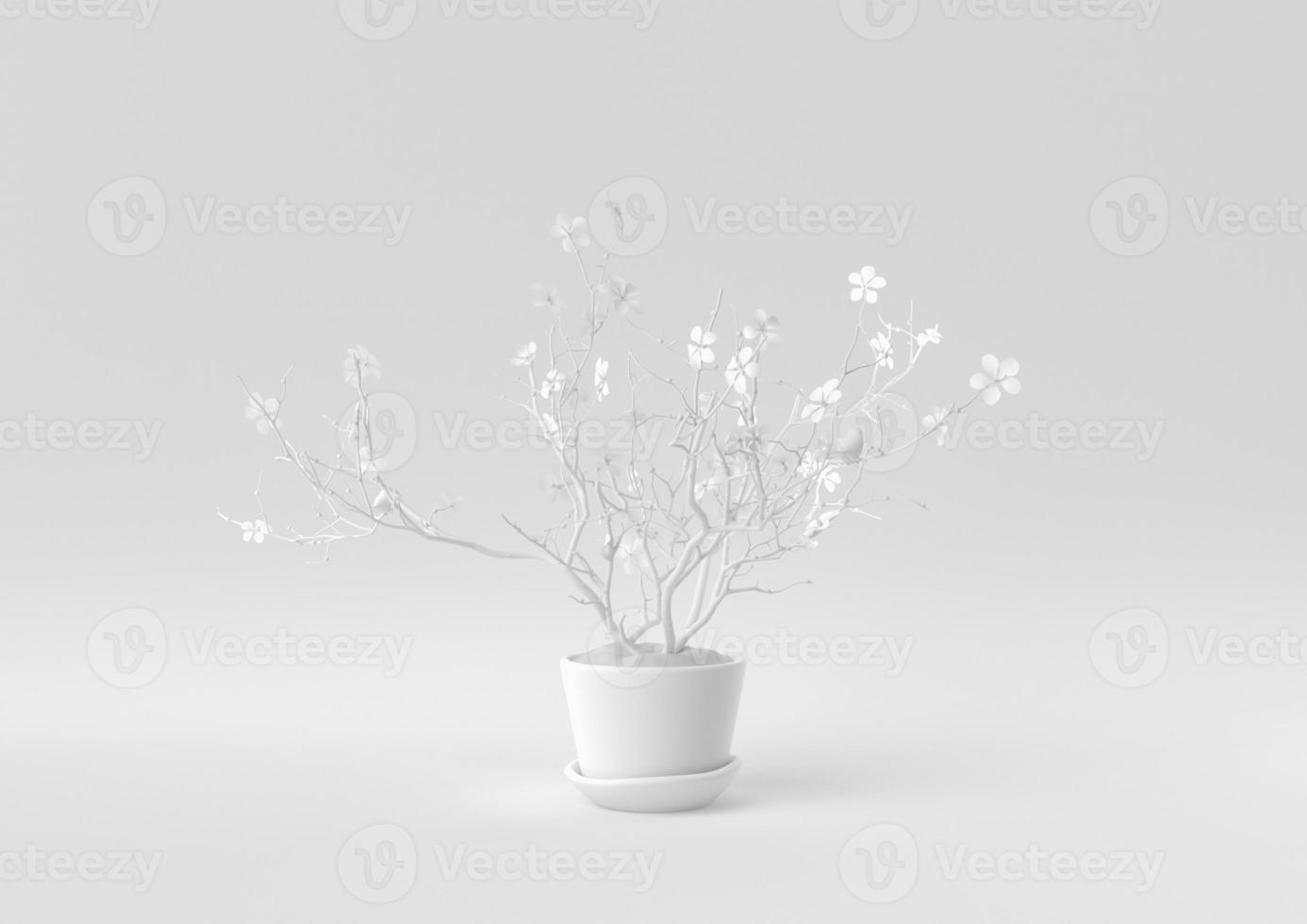 witte boompot op witte achtergrond. minimaal concept idee creatief. monochroom. 3D render. foto