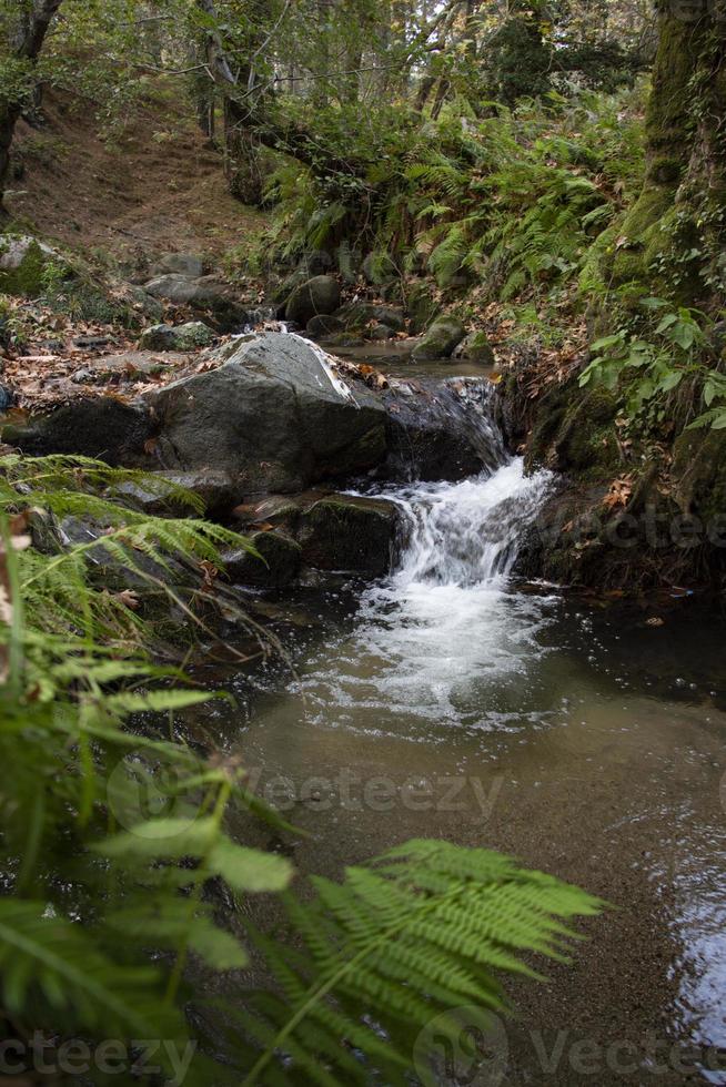 gevallen bladeren in de rotsachtige waterval. de rotsachtige kreek mondt uit in de langs de rivier. waterval in het bos. prachtig bos- en rivierlandschap. foto