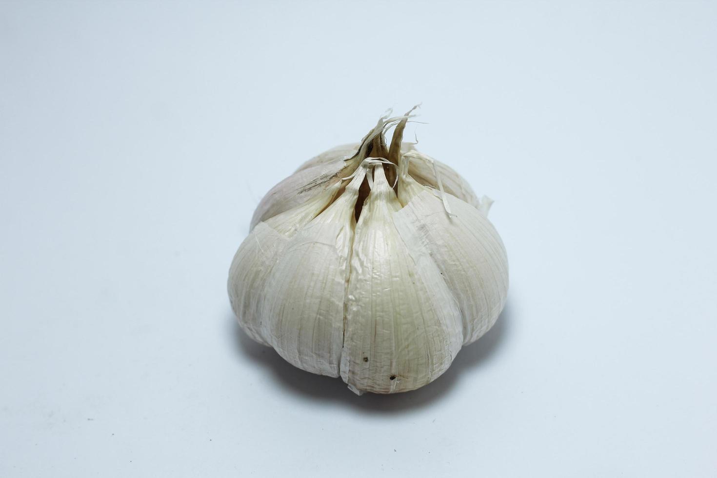 knoflook geïsoleerd op een witte achtergrond foto