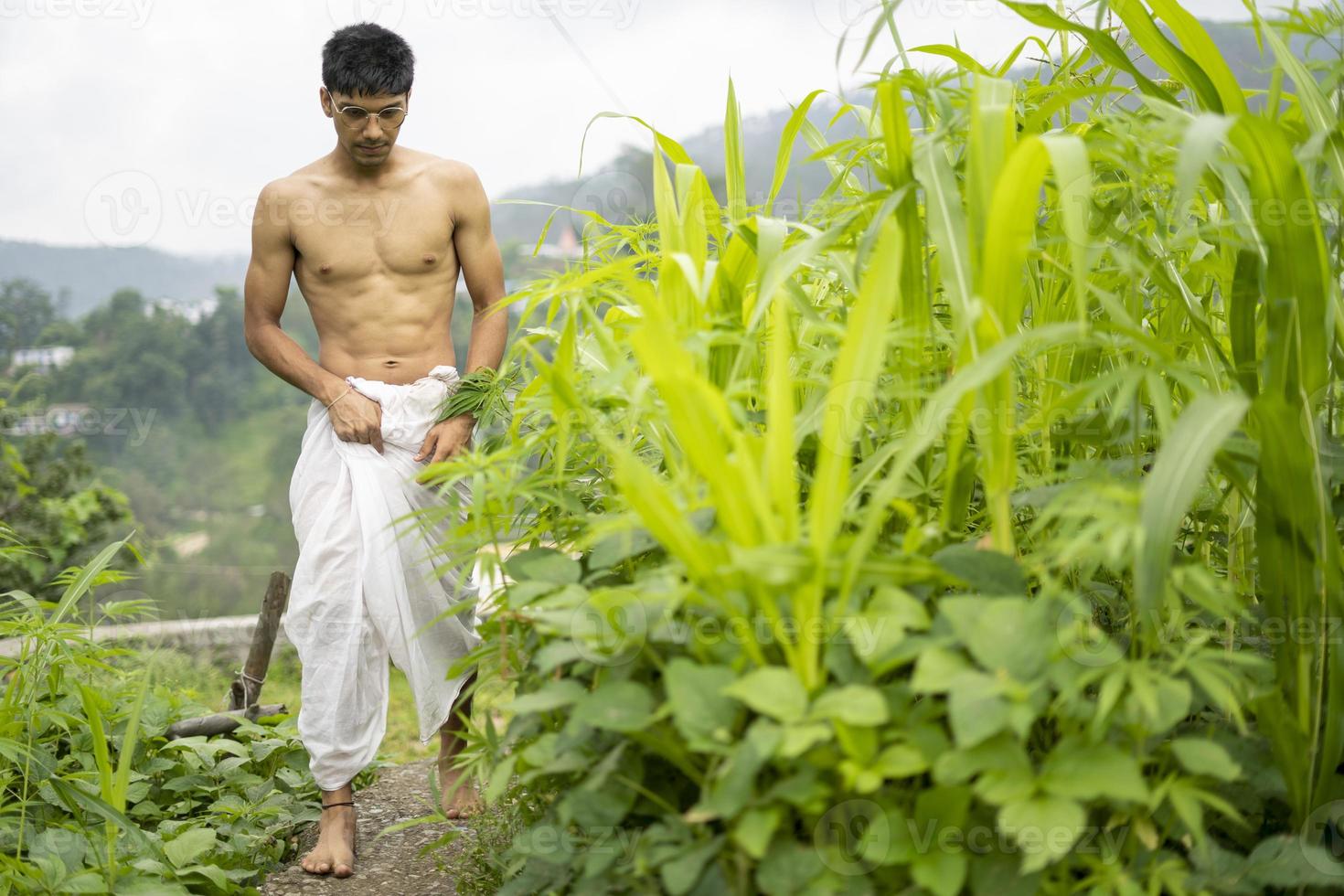 jonge indische fitte jongen, lopend op een pad naast gewassen in het veld. een Indiase priester die loopt terwijl hij witte dhoti draagt. Indiase religieuze man. foto