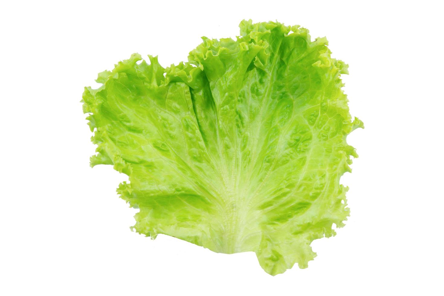 sla. Saladeblad geïsoleerd op een witte achtergrond met uitknippad foto