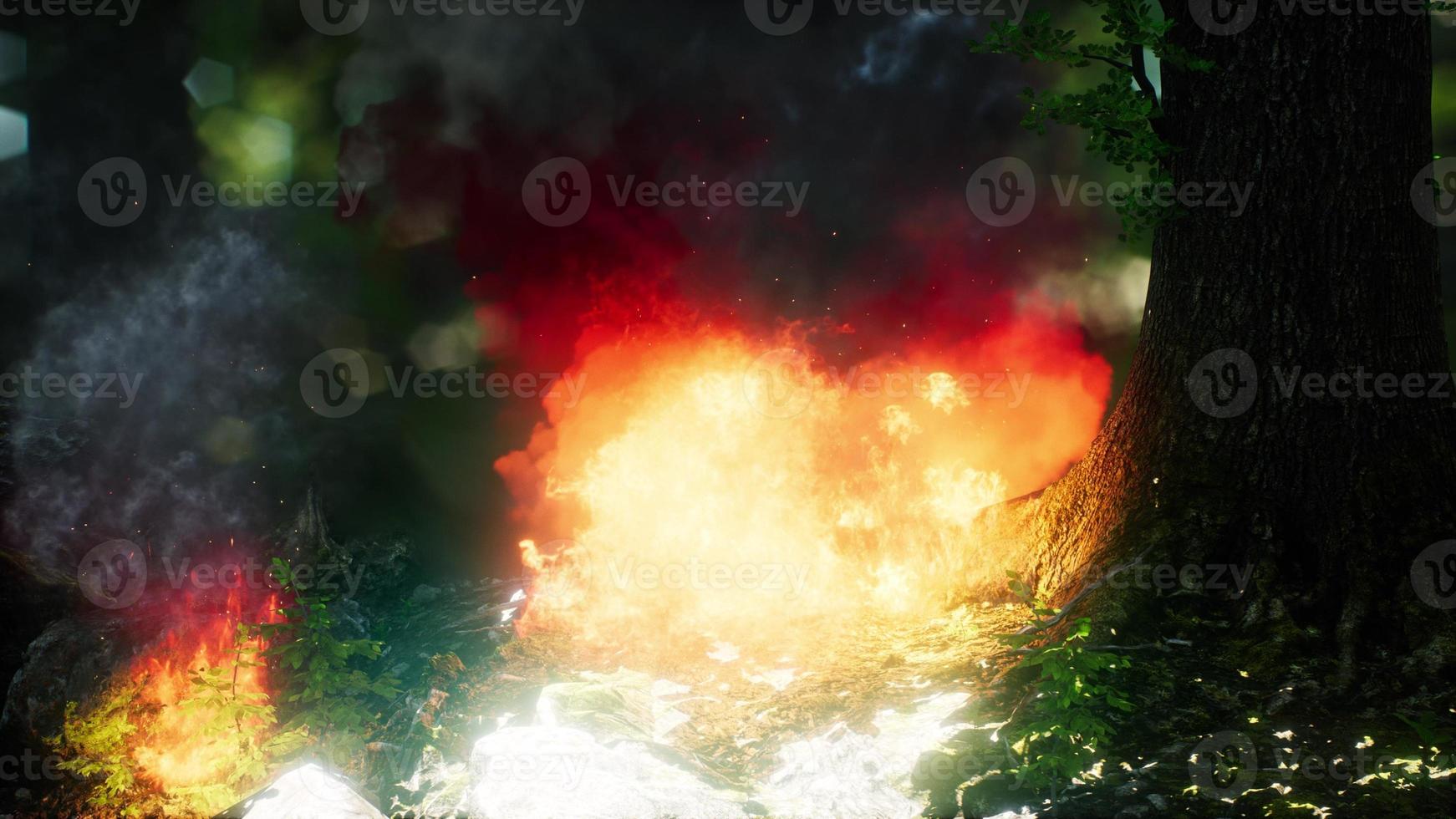 wind waait op vlammende bomen tijdens een bosbrand foto