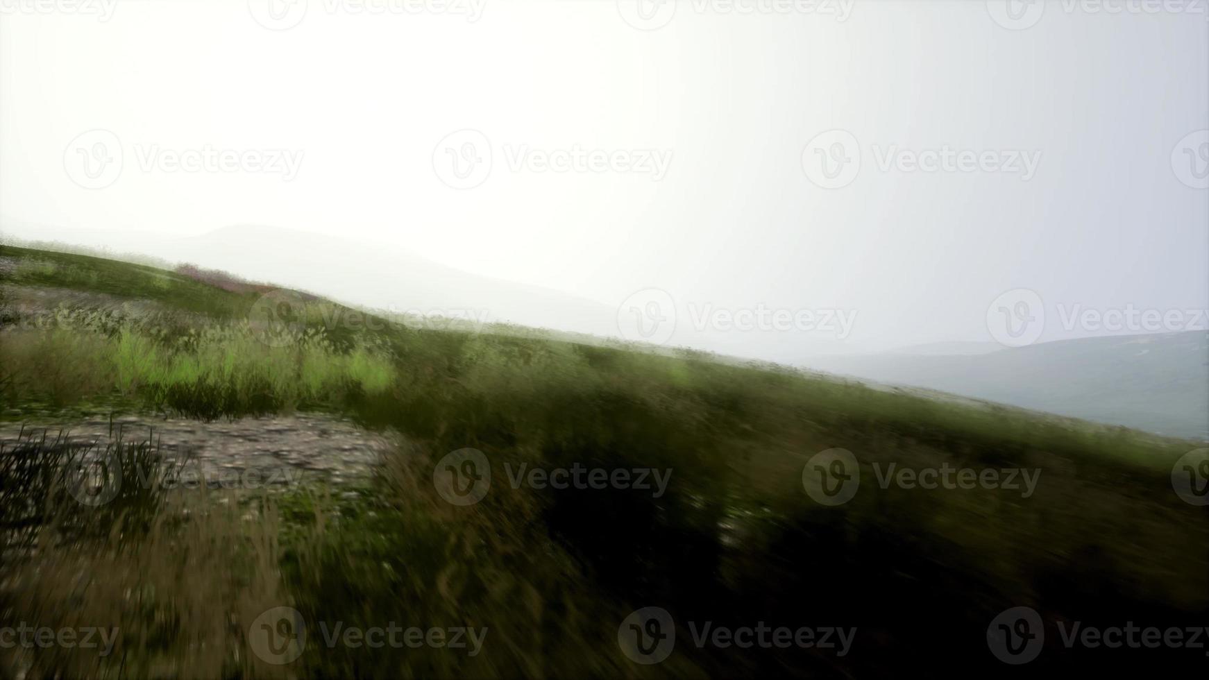 lucht groen heuvelslandschap in mist foto