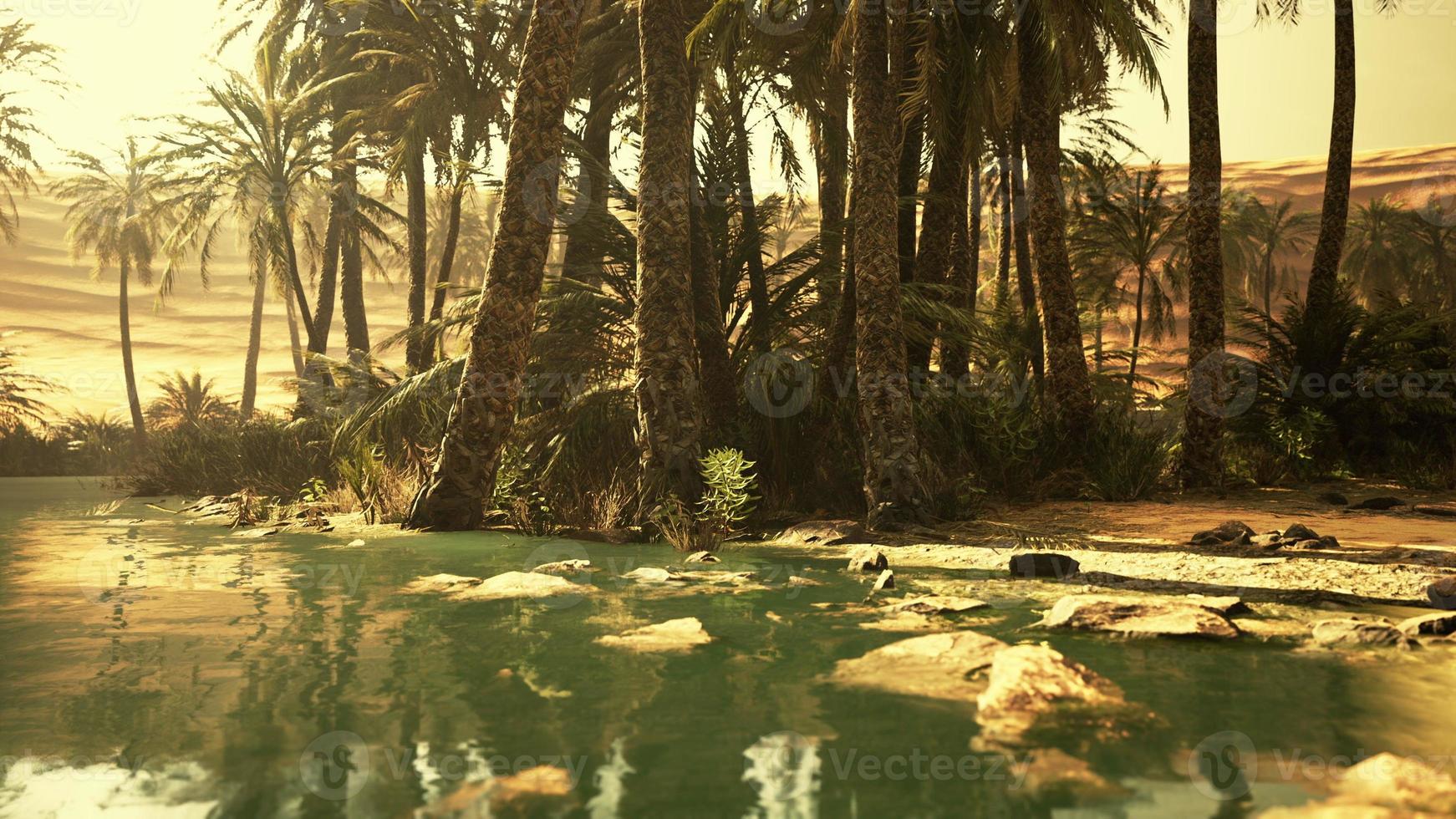 panorama van prachtige oase omgeven door zandduinen foto