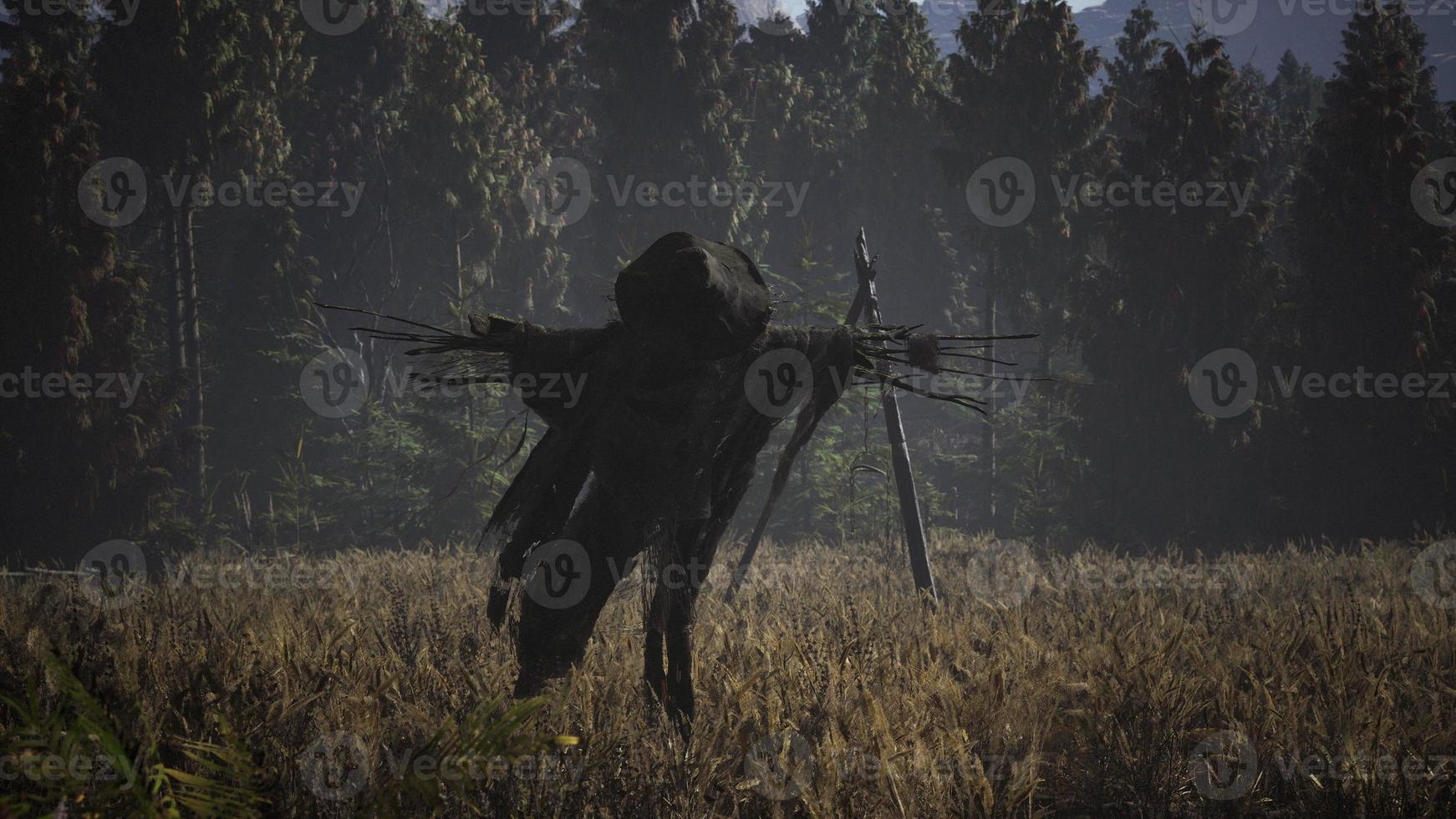 vogelverschrikker op het oude dorpsveld foto