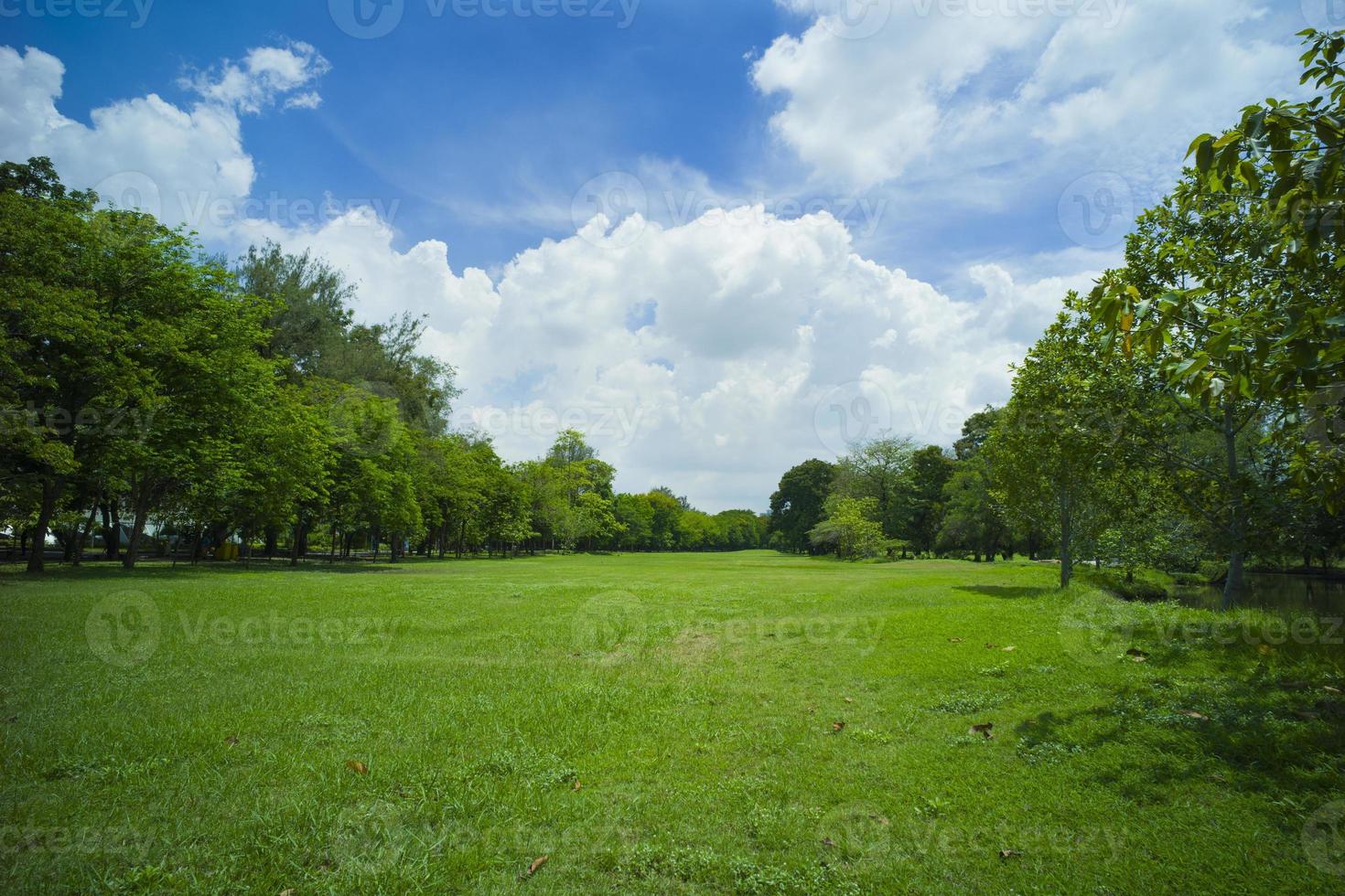 mooi groen gras bij park foto