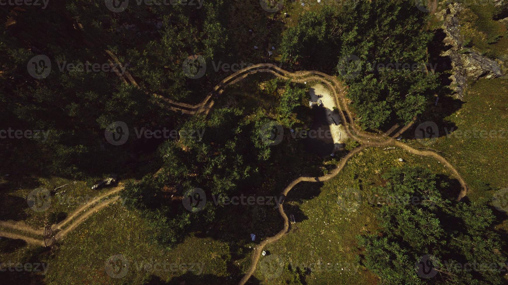 luchtfoto van de weg door het bos foto