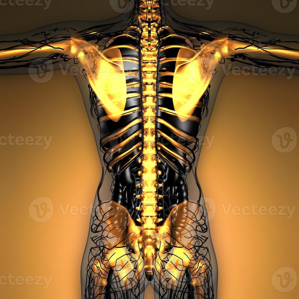 wetenschap anatomie van het menselijk lichaam in x-ray met gloed skelet botten foto
