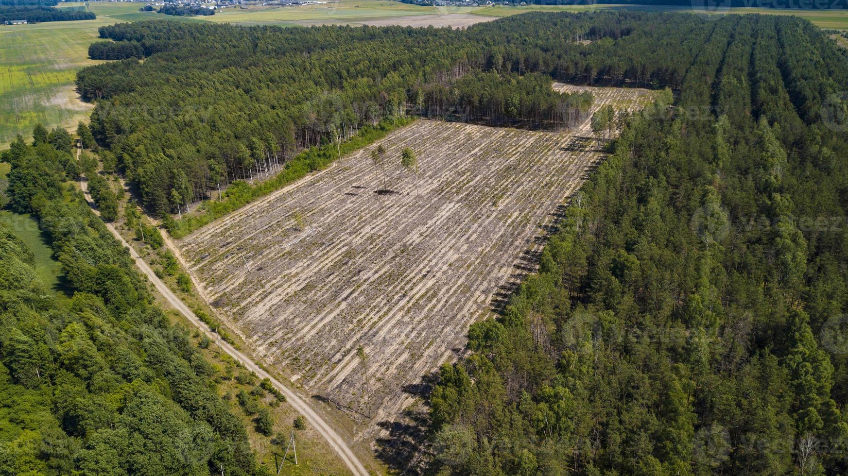 illegale ontbossing vanuit de drone foto