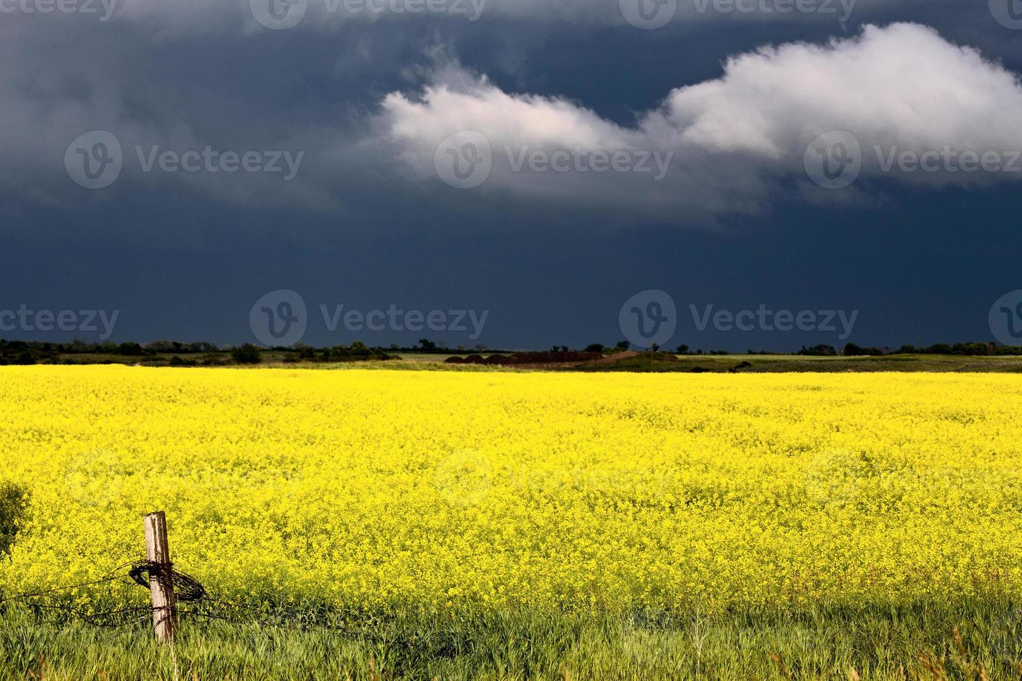 prairie onweerswolken foto