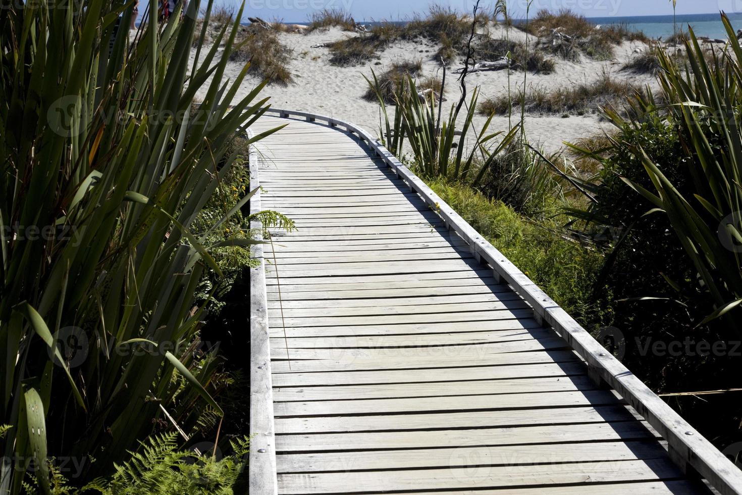 houten loopbrug nieuw zeland foto