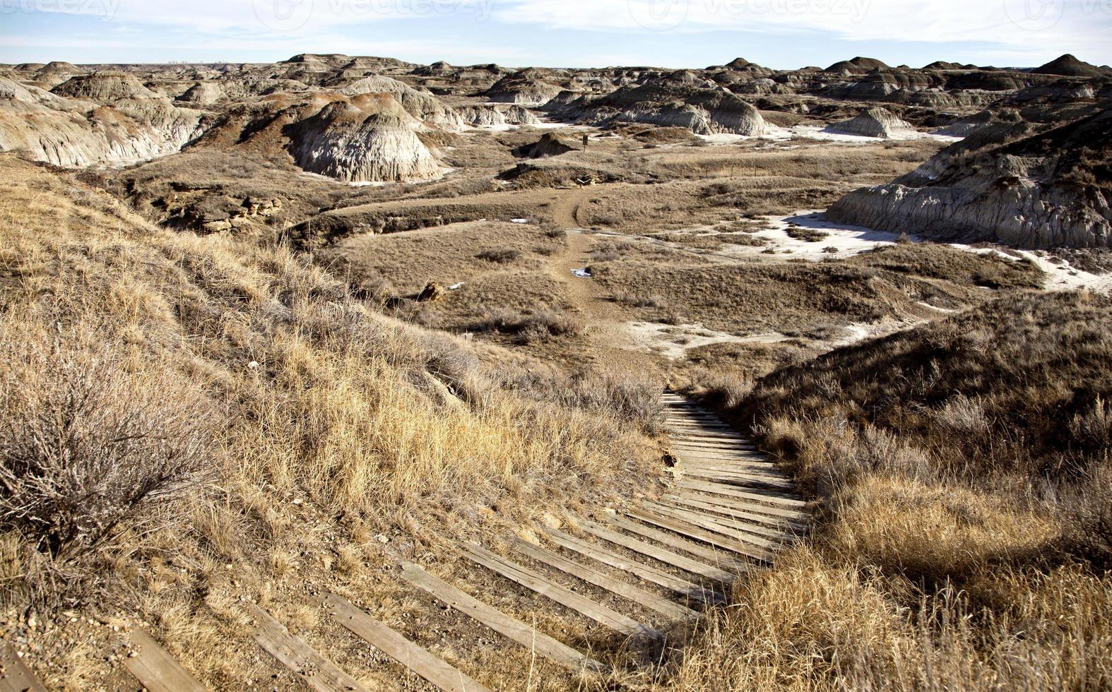 badlands alberta canada foto