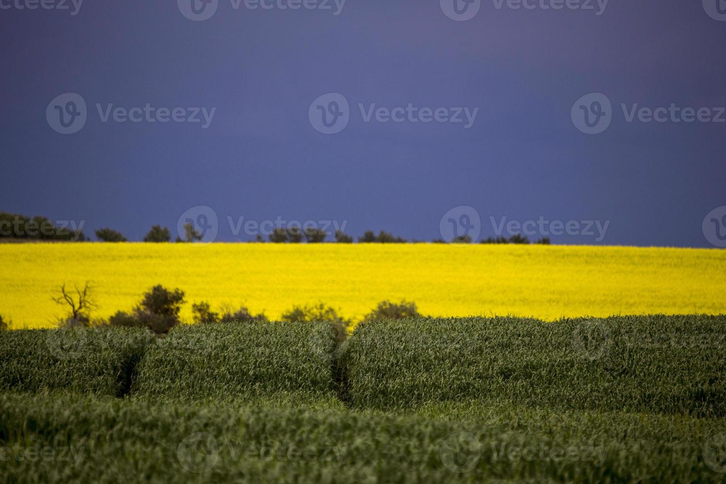 prairie onweerswolken foto