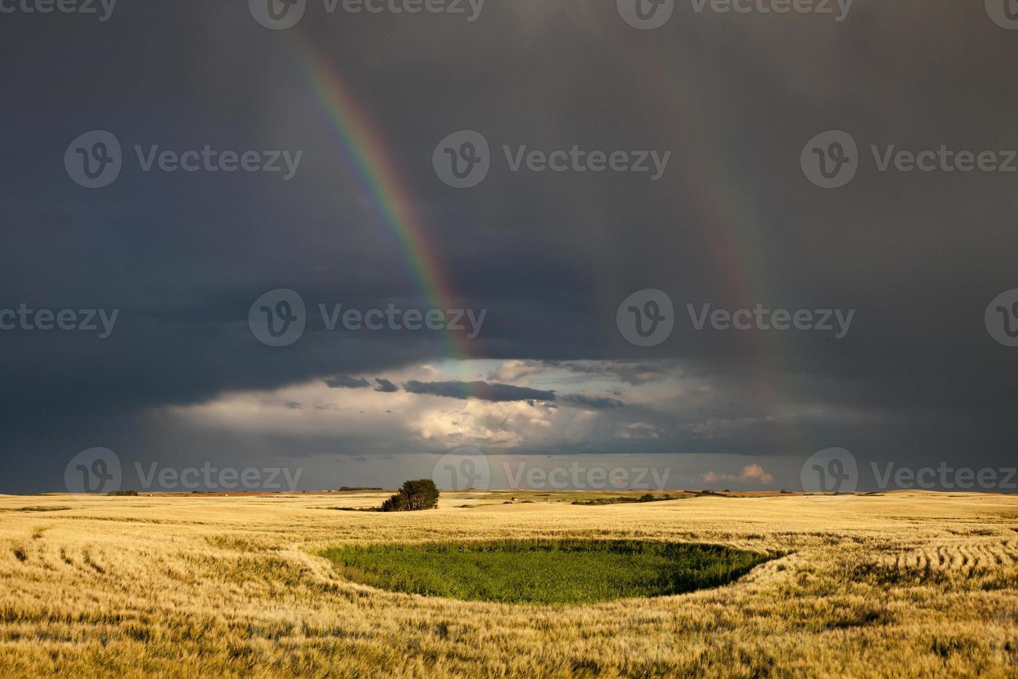 storm wolken saskatchewan foto