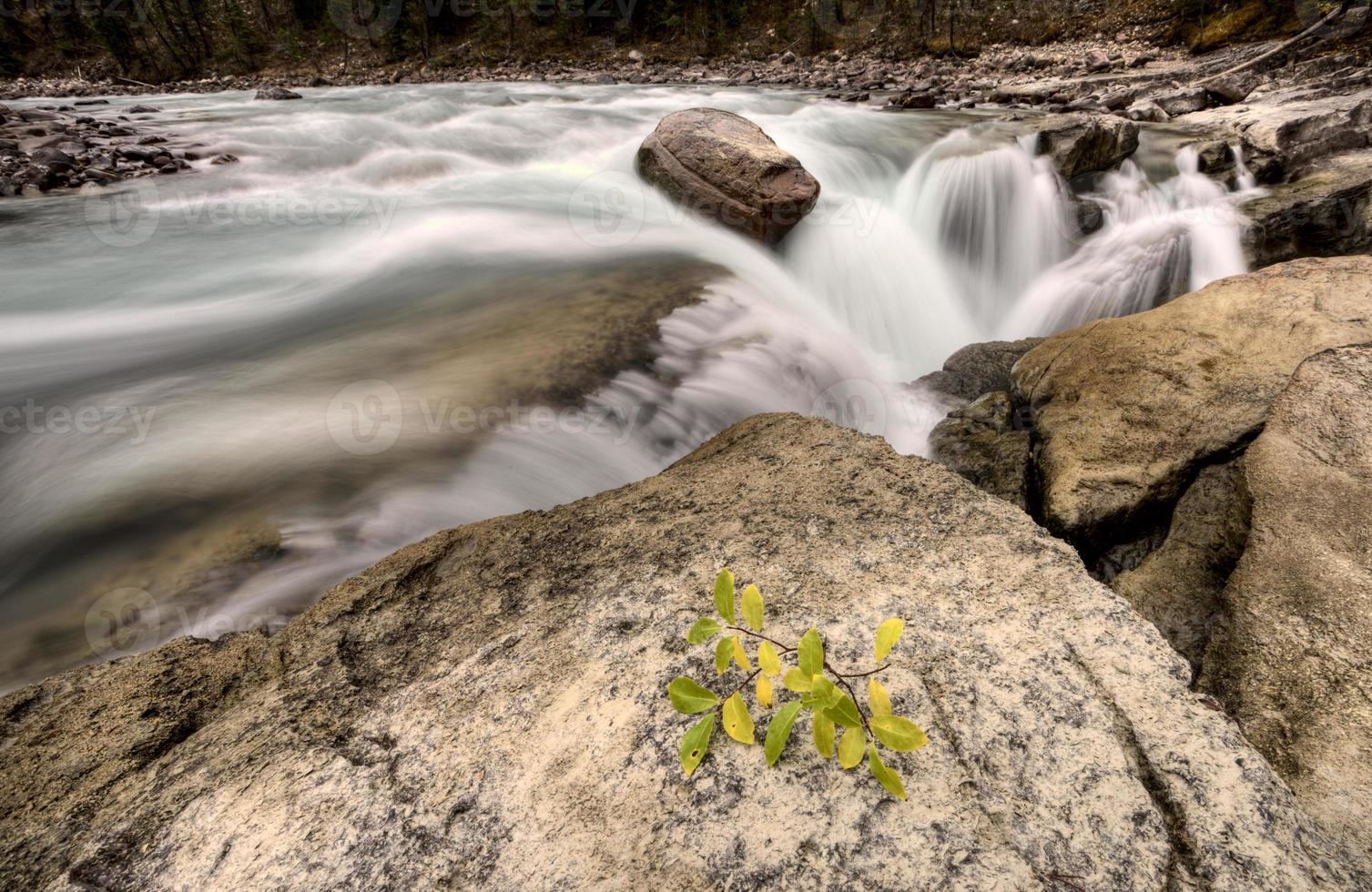 sunwapta waterval alberta canada foto