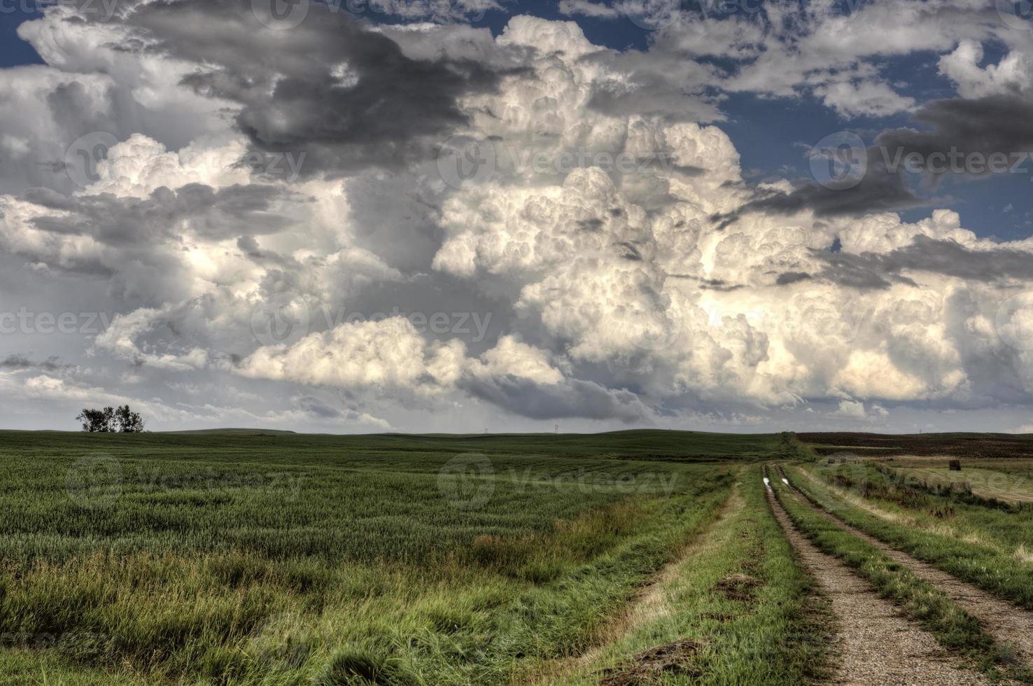 storm wolken saskatchewan foto