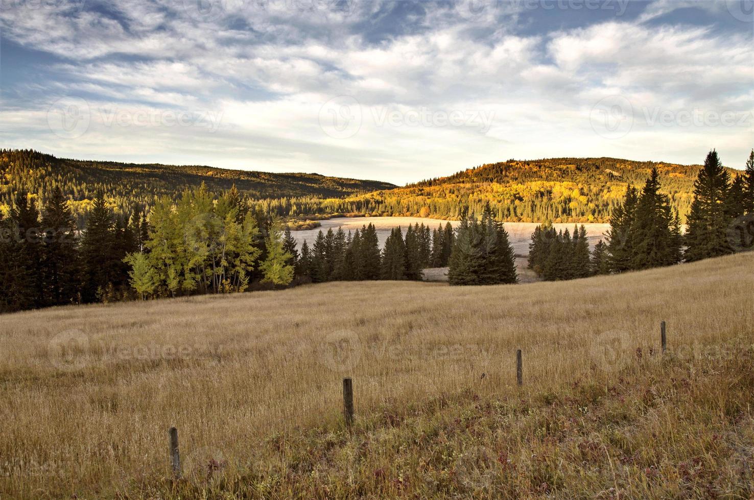 herfstkleuren cipressen heuvels canada foto